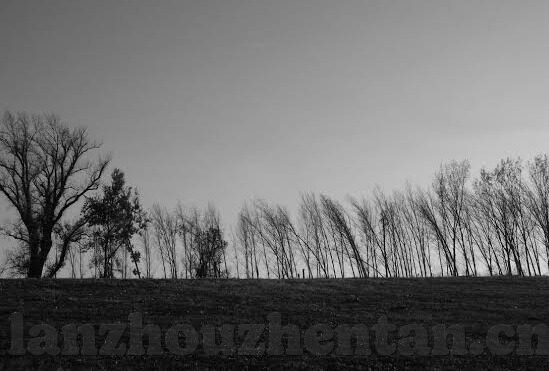 91麻豆精品国产福利精品-探索91麻豆精品国产福利的多元魅力