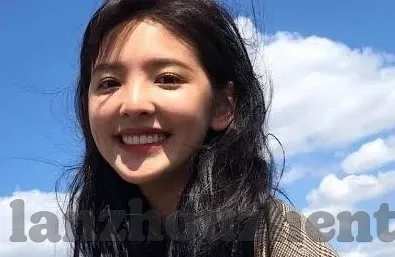 大象视频大全高清观看-探索大象视频大全高清观看的奇妙之旅