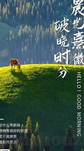 麻豆91视频在线观看-慎重思考网络内容与个人发展的关系