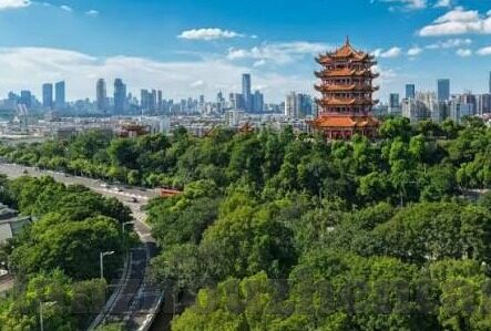 麻豆福利在线精品视频-悦己健康——网络视频选择的健康正向之道