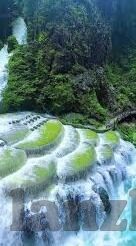 麻豆经济模特app官方-麻豆经济模特app， 塑造全球时尚前沿的数字化平台
