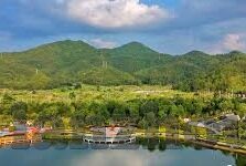人妻站长工具-探索人妻站长工具，提升网络管理与个人效率的智慧之选