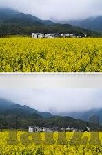 日韩av一区二区三区在线观看-日韩AV一区二区三区，网络内容消费的多元视角与理性探讨