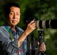 视频 麻豆-Discovering the Digital Canvas: The Art and Craft of Video Content Creation with 麻豆