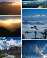 糖心logo官网免费下载-构建品牌信任，探索糖心logo的免费下载之旅