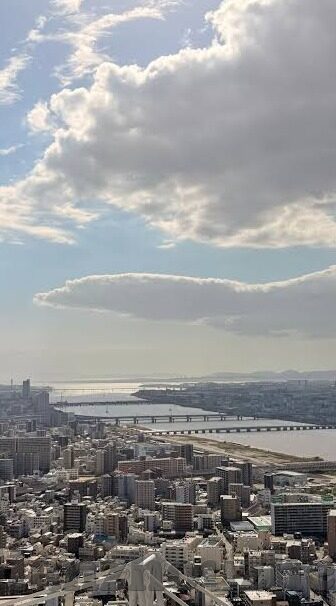 糖心视频日记app-探索数字时代的温馨记录者——糖心视频日记app