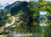 糖心txvlog官网入口-探索糖心TXVLOG官网的多元化内容形式与影响