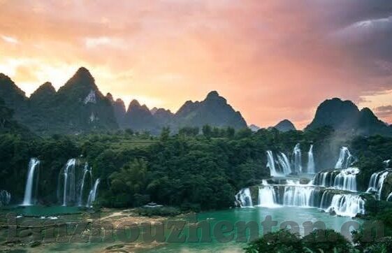 小蝌蚪麻豆91-探秘水世界的奇妙生物——从一只小蝌蚪的视角