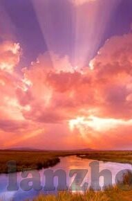 在线免费视频麻豆-免费在线视频，麻豆的力量与未来